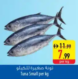 Safeer Market Tuna Small offer