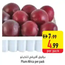 Safeer Market Plum Africa offer