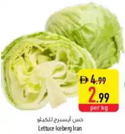 Safeer Market Lettuce Iceberg Iran offer