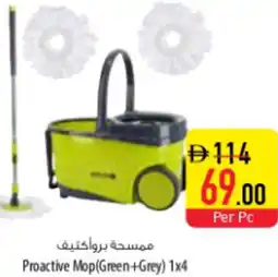 Safeer Market Proactive Mop Green+Grey 1x4 offer
