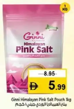 Nesto Ginni Himalayan Pink Salt Pouch offer