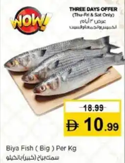 Nesto Biya Fish Big offer