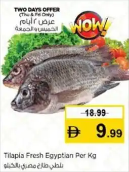 Nesto Tilapia Fresh Egyptian offer