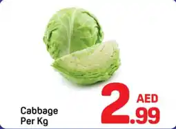 Day To Day Cabbage offer