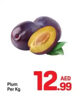 Day To Day Plum offer