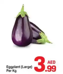 Day To Day Eggplant Large offer