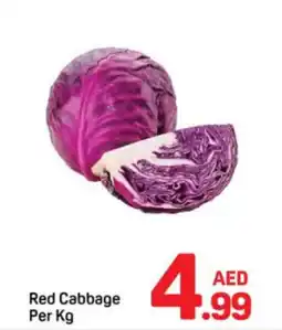 Day To Day Red Cabbage offer