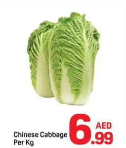 Day To Day Chinese Cabbage offer