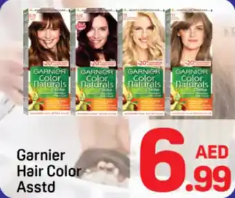 Day To Day Garnier Hair Color Asstd offer