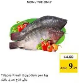 Nesto Tilapia Fresh Egyptian offer