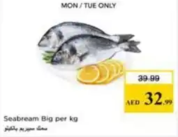 Nesto Seabream Big offer