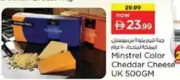 Nesto Minstrel Color Cheddar Cheese offer