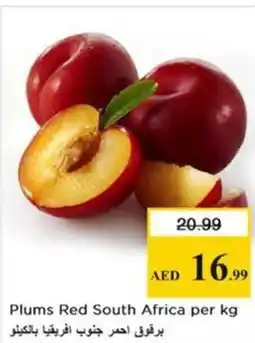 Nesto Plums Red South Africa offer