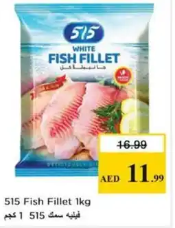 Nesto 515 Fish Fillet offer