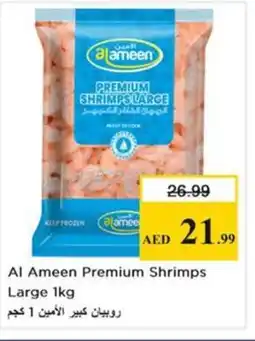 Nesto Al Ameen Premium Shrimps Large offer