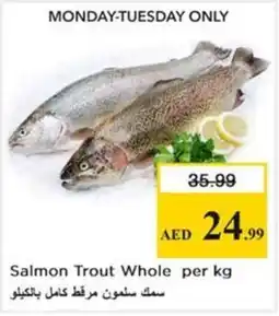 Nesto Salmon Trout Whole offer