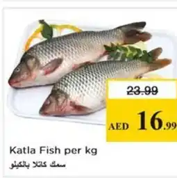 Nesto Katla Fish offer