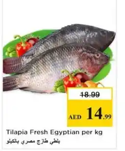 Nesto Tilapia Fresh Egyptian offer