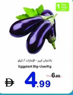 Ajman Market Eggplant Big-Uae/Kg offer