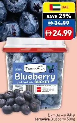 Viva Terraviva Blueberry offer