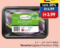 Viva Terraviva Eggplant Premium offer