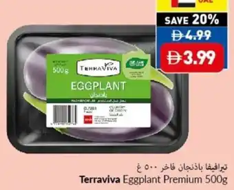 Viva Terraviva Eggplant Premium offer
