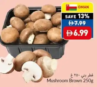 Viva Mushroom Brown offer