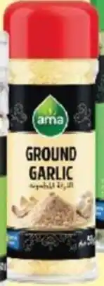 Viva Ground Garlic offer