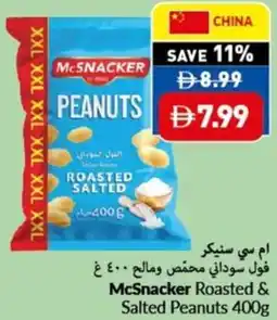 Viva McSnacker Roasted & Salted Peanuts offer