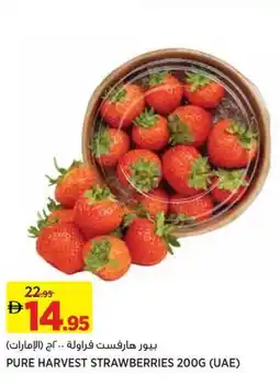 Aswaaq Pure harvest strawberries offer