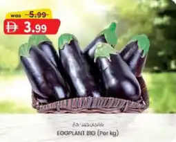 KM Trading Eggplant big offer