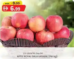 KM Trading Apple royal gala offer