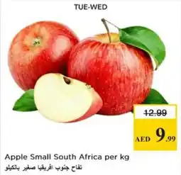 Nesto Apple Small South Africa offer