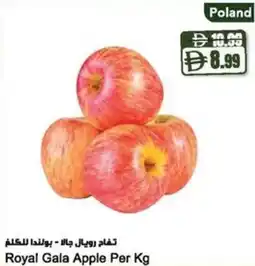 Almaya supermarket Royal Gala Apple offer