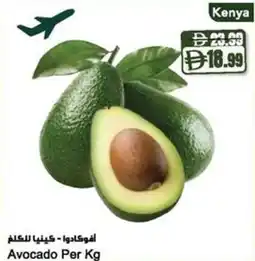 Almaya supermarket Avocado offer