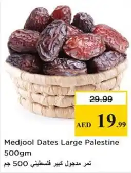 Nesto Medjool Dates Large Palestine offer