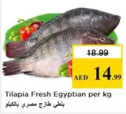 Nesto Tilapia Fresh Egyptian per kg offer