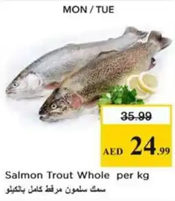 Nesto Salmon Trout Whole per kg offer