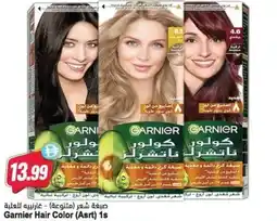 Almaya supermarket Garnier Hair Color offer