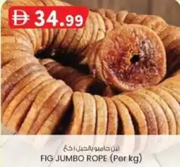 KM Trading Fig jumbo rope offer