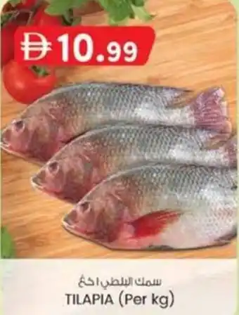 KM Trading TILAPIA offer