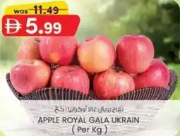 KM Trading Apple royal gala ukrain offer