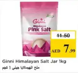 Nesto Ginni Himalayan Salt Jar offer