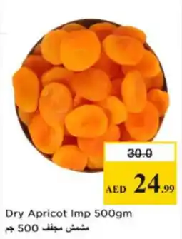 Nesto Dry Apricot Imp offer