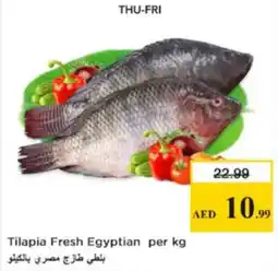 Nesto Tilapia Fresh Egyptian offer