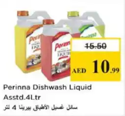 Nesto Perinna Dishwash Liquid Asstd. offer