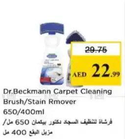Nesto Dr.Beckmann Carpet Cleaning Brush/Stain Rmover offer