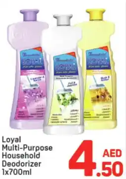 Day To Day Loyal Multi-Purpose Household Deodorizer offer