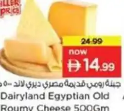 Nesto Dairyland Egyptian Old Roumy Cheese offer