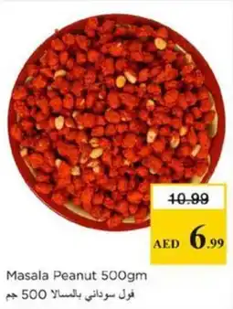 Nesto Masala Peanut offer